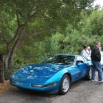 Cambria_0087 (November 05, 2011)